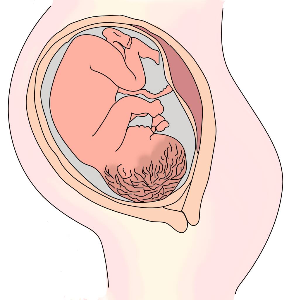 Mẹ bầu khó thở tháng cuối nguyên nhân chính do sự phát triển của thai nhi